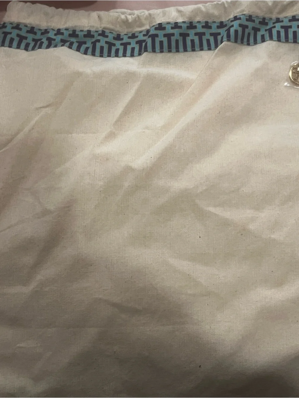 Tory Burch Metallic Silver Logo Thong Sandals